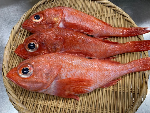 キンキの煮付け