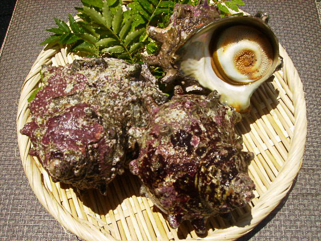 サザエの壺焼き